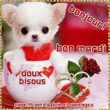 Bonjour ! Bon mardi ! Doux bisous #mardi chien chiot mignon rose fleur  coeur scintillement paillettes | Bon mardi, Bonjour, Carte bonjour