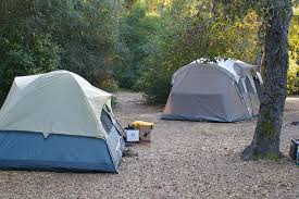 Campsites in henry cowell redwoods. Henry Cowell Redwoods State Park State Park Camping State Parks Redwood