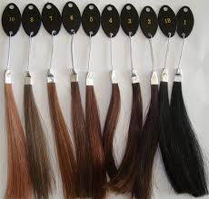 Color Wheel Color Ring Color Chart For Hair Extensions