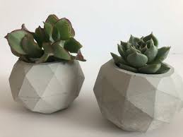 diy concrete geometric flower pot