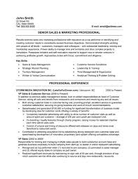 A Professional Resume Template For A Senior Sales And