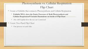 Photosynthesis Vs Cellular Respiration Flip Chart Ppt