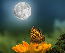 full may flower moon of 2023 will soon