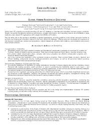 Professional Skills For Resume nanny resume example sample babysitting  children professional skills jobs Human Resources Assistant  