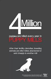 Puppy mills research topics