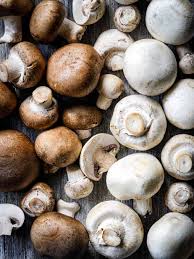 white mushrooms vs baby bella what s