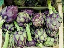 Are artichokes good for you?
