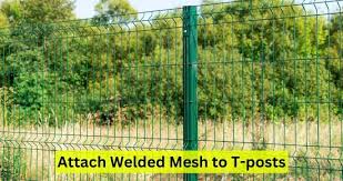 Attach Welded Wire Fence To T Post