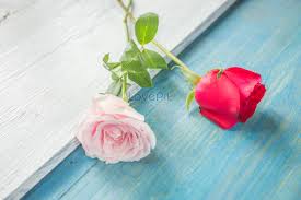 romantic roses picture and hd photos