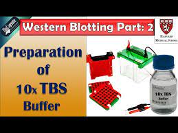 tbs buffer preparation