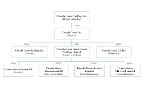 Canada Goose Holdings Inc 2018 Annual Transition Report 20 F