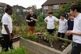 Rhs Campaign For School Gardening