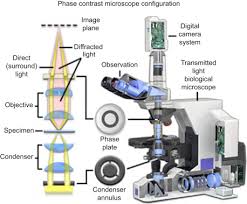 Optical Microscope An Overview Sciencedirect Topics