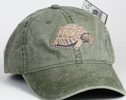 desert tortoise cap eco wear