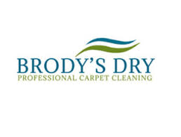 dry professional carpet cleaning