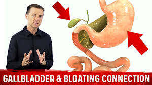 dr berg bloated stomach gallbladder