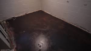 painting my concrete basement floor