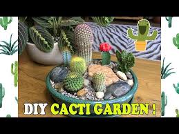 Diy Indoor Mini Cacti Garden