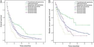 Oncotarget The Prognostic Value Of Histological Subtype In