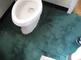 carpet in the bathroom