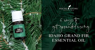 idaho grand fir essential oil