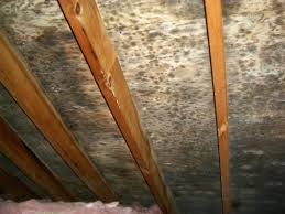 How To Remove Mold On Attic Roof
