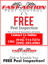 Pest Control Company in Rio Linda California - Fast Action Pest Control