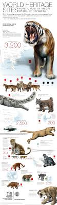 Wild cats of the world by luke hunter. World Heritage Sites Home To Endangered Big Cats Visual Ly