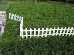plastic garden fence garden border