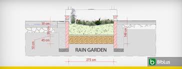 Rain Garden Design The Ultimate Guide