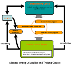 The Role of the Physiotherapist in Learning Disabilities     As part of the Data Intelligence Review Project  the team worked with Mr C   a young man with a moderate learning disability and autism 