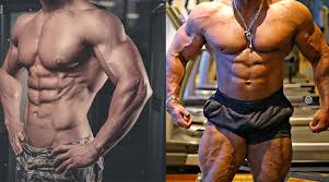 bulk body vs lean body what you should