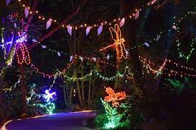selby gardens light up sarasota srq
