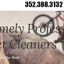 extremely professional carpet cleaners