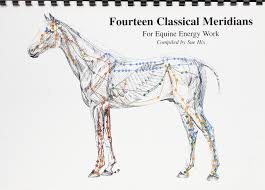 Fourteen Classical Meridians For Equine Energy Work Sue Hix