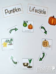 Exploring Pumpkin Life Cycles