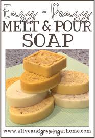 easy melt and pour soap recipe alive
