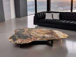 Natural Petrified Wood Coffee Table