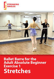 ballet barre for the absolute