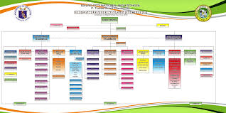 Organizational Chart Dcnhs