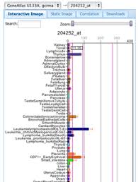 Gene Expression Activity Chart Plugin Biogps