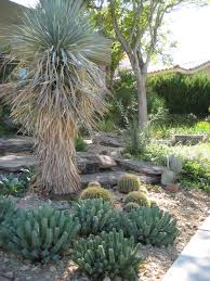 Lush Garden In The Las Vegas Desert