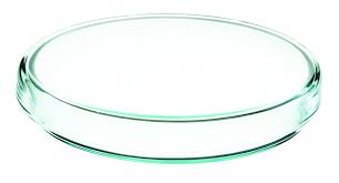 Petri Dish Outer Dia 15cm Soda Glass