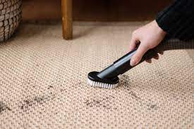 the best methods for cleaning sisal rugs