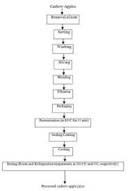 Process Flow Diagram Apple Juice Wiring Diagram