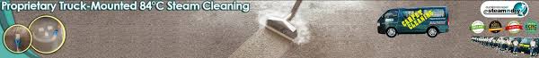 carpet cleaning tips from auckland