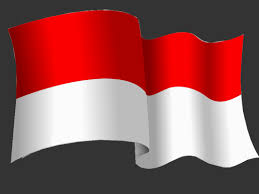 Hasil gambar untuk bendera indonesia