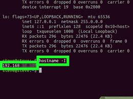 how to check the ip address in linux