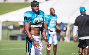 Carolina Panthers Early Roster Projection Version 2 0 The