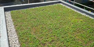 Green Roof Advantages And Disadvantages